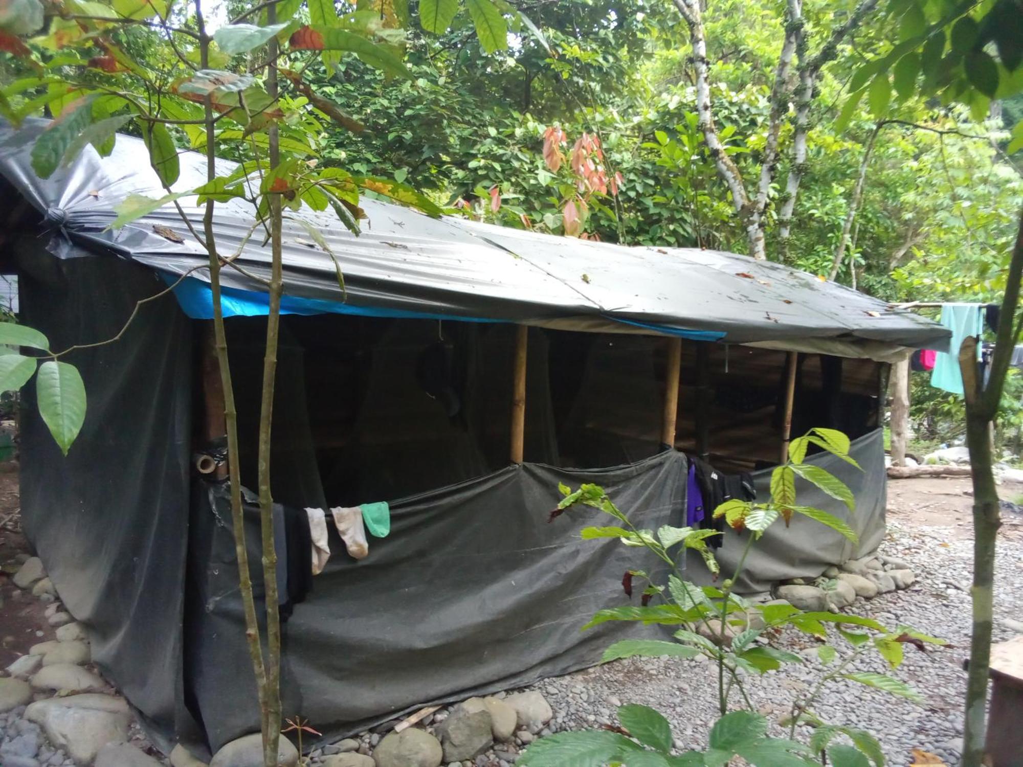 Jungle Treking & Jungle Tour If You Want To Stay Here,You Must Book Treking Only With Us Bukit Lawang Kültér fotó