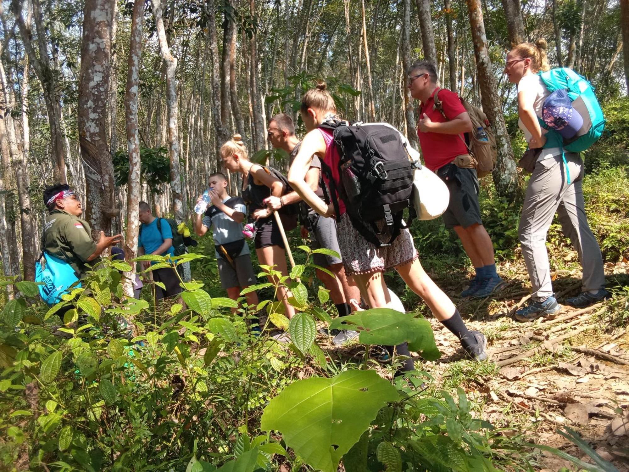 Jungle Treking & Jungle Tour If You Want To Stay Here,You Must Book Treking Only With Us Bukit Lawang Kültér fotó